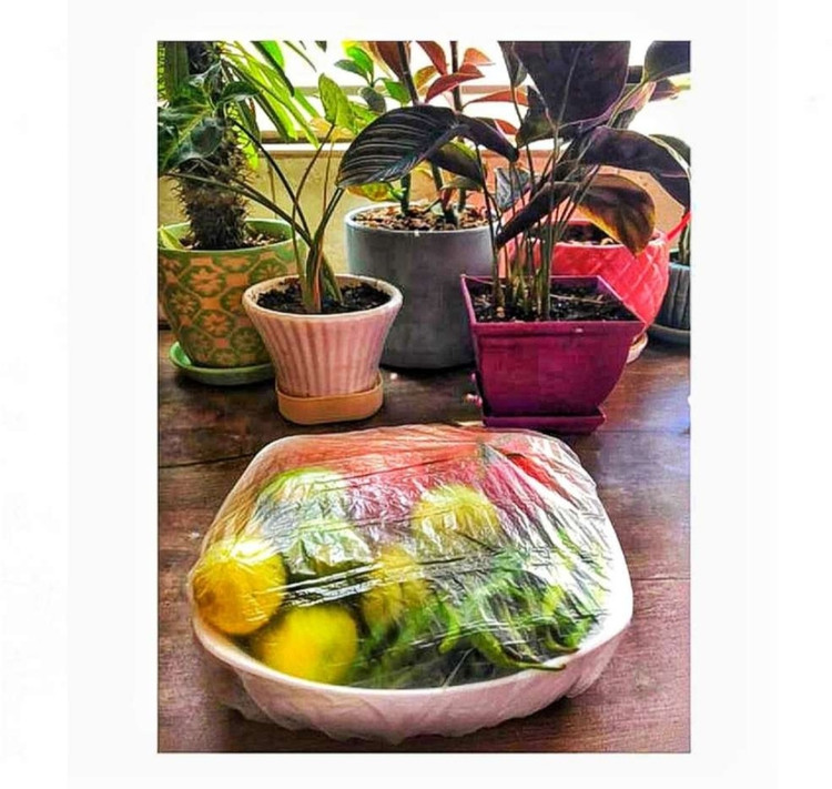 محافظ و درپوش یکبار مصرف غذا مینگیی_۱۰۰ عددی